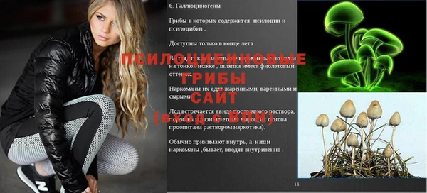 тгк Алексин