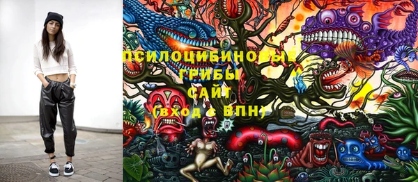 тгк Алексин