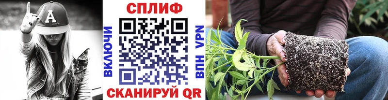 Конопля Bruce Banner  Купить  Северодвинск 